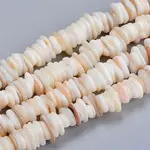 Natural Freshwater Shell Beads Strands