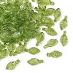 Transparent Acrylic Charms