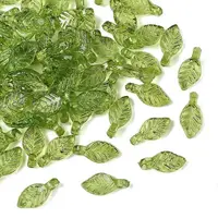 Transparent Acrylic Charms