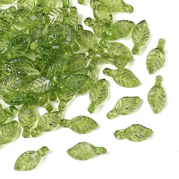 Transparent Acrylic Charms