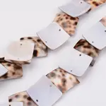 Natural Shell Bead Strands