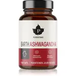 Puhdistamo Earth Ashwagandha kapsle pro podporu duševní rovnováhy 120 cps