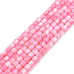 Natural Freshwater Shell Beads Strands