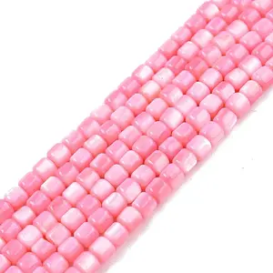 Natural Freshwater Shell Beads Strands