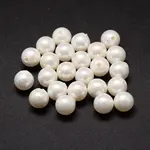 Shell Pearl Beads