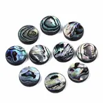 Natural Abalone Shell/Paua Shell Beads