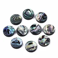 Natural Abalone Shell/Paua Shell Beads