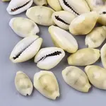 Natural Cowrie Shell Beads