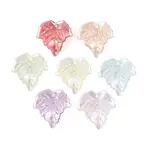 Transparent Acrylic Pendants