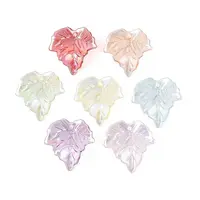 Transparent Acrylic Pendants