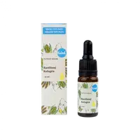 Kvitok Pleťové sérum - Rostlinný kolagen (10 ml)