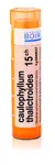 Boiron CAULOPHYLLUM THALICTROIDES CH15 granule 4 g