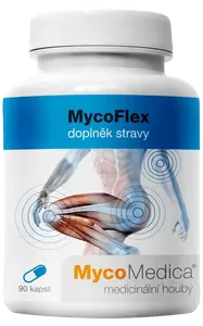 MYCOMEDICA MycoFlex 90 kapslí