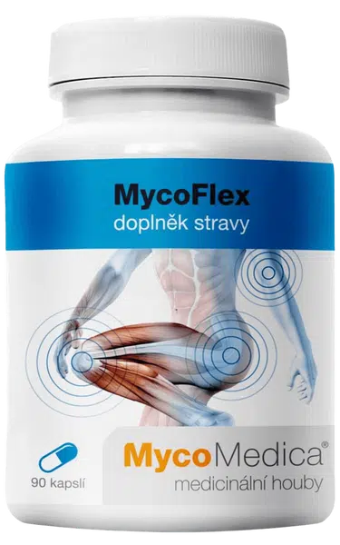 MYCOMEDICA MycoFlex 90 kapslí