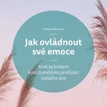 E-kniha: Jak ovládnout své emoce od Meurisse Thibaut