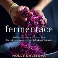 E-kniha: Fermentace od Davisová Holly