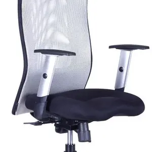 OFFICE PRO Ergonomická kancelářská židle CALYPSO GRAND s opěrkou hlavy P1, šedá