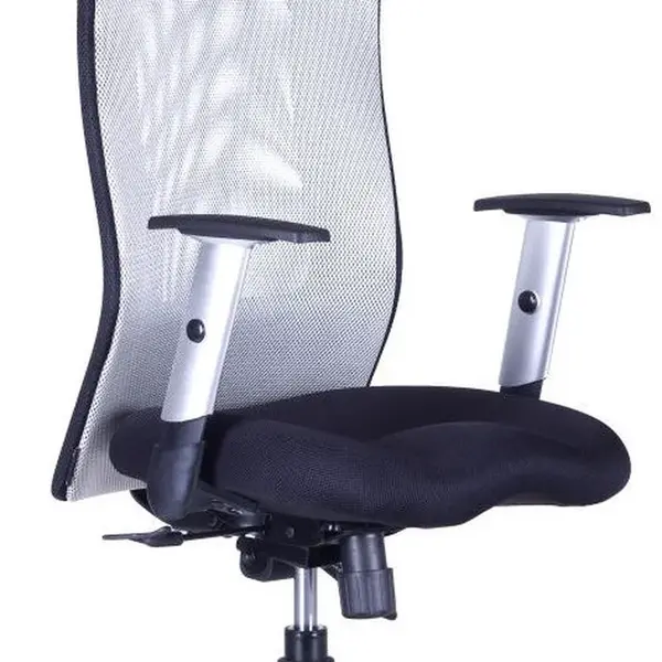 OFFICE PRO Ergonomická kancelářská židle CALYPSO GRAND s opěrkou hlavy P1, šedá