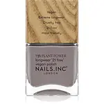 Nails Inc. Plant Power dlhotrvajúci lak na nechty odtieň What's Your Spirituality 14 ml