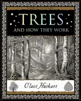 Trees - Olavi Huikari