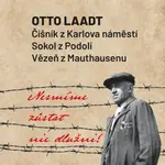 Nesmíme zůstat nic dlužni - Vlastislav Janík, Daniel Plaček - e-kniha