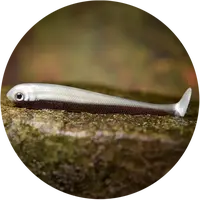 Redbass gumová nástraha ripper swimmer slim brown silver - xl 125 mm