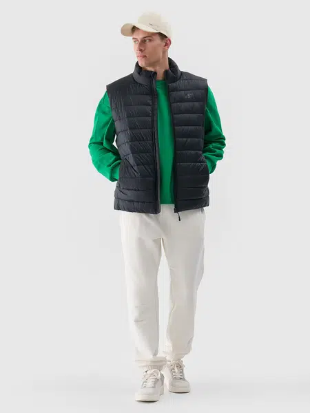 Men's down vest 4F