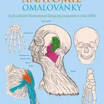 Anatomie omalovánky