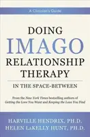 Doing Imago Relationship Therapy in the Space-Between - Harville Hendrix, Helen LaKelly Hunt