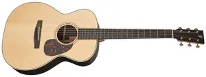 Furch Vintage 1 OM-SR CNR Active