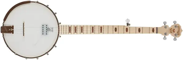 Deering Goodtime Acoustic/Electric