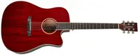 Tanglewood TW5CE R