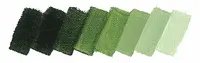 Olejová barva Mussini 35ml – 526 sap green