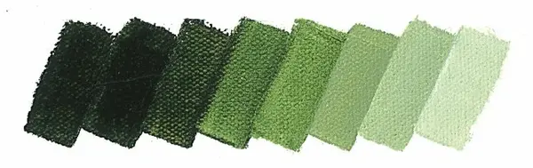 Olejová barva Mussini 35ml – 526 sap green