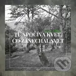 Tu spočíva kvet, čo zanechal svet - Ján Aláč - kniha z kategorie Historie