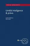 Umělá inteligence & právo - Filip Horák, Linda Kolaříková - kniha z kategorie Odborné a naučné