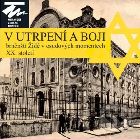 V utrpení a boji (Brněnští Židé v osudových momentech XX. století) - kniha z kategorie 20. století