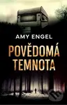 Povědomá temnota - Amy Engel