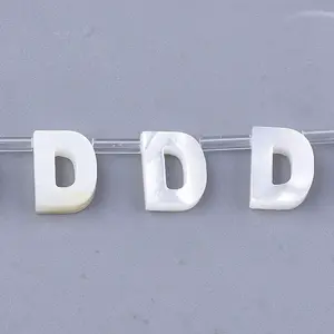Natural Sea Shell Beads