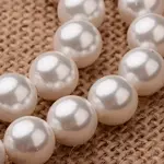 Polished Round Grade A Shell Pearl Bead Strands
