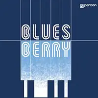 Bluesberry – Bluesberry CD