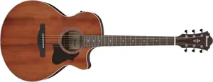 Ibanez AE140 OPN