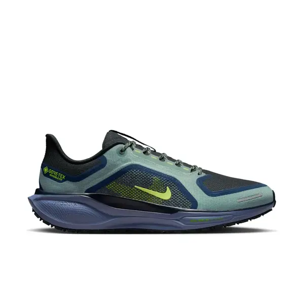 Nike Pegasus 41 GORE-TEX 42
