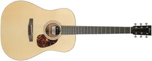Furch Vintage Pure D-EM CNR Active