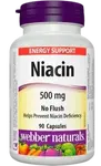 WEBBER NATURALS Niacin 500 mg 90 kapsúl