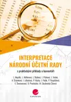 Interpretace Národní účetní rady, Skálová Jana