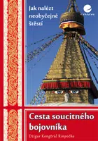 Cesta soucitného bojovníka, Kongtrül Dzigar