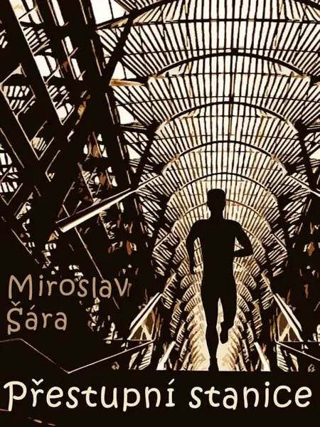 Přestupní stanice - Miroslav Šára