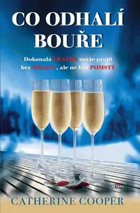 Co odhalí bouře - Catherine Cooper