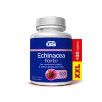 GS Echinacea forte 600 mg XXL 90 + 20 tablet